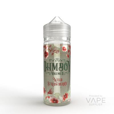 Ohm Boy Volume 2 100ml Shortfill